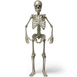 Standing Skeleton Icon 256x256 png